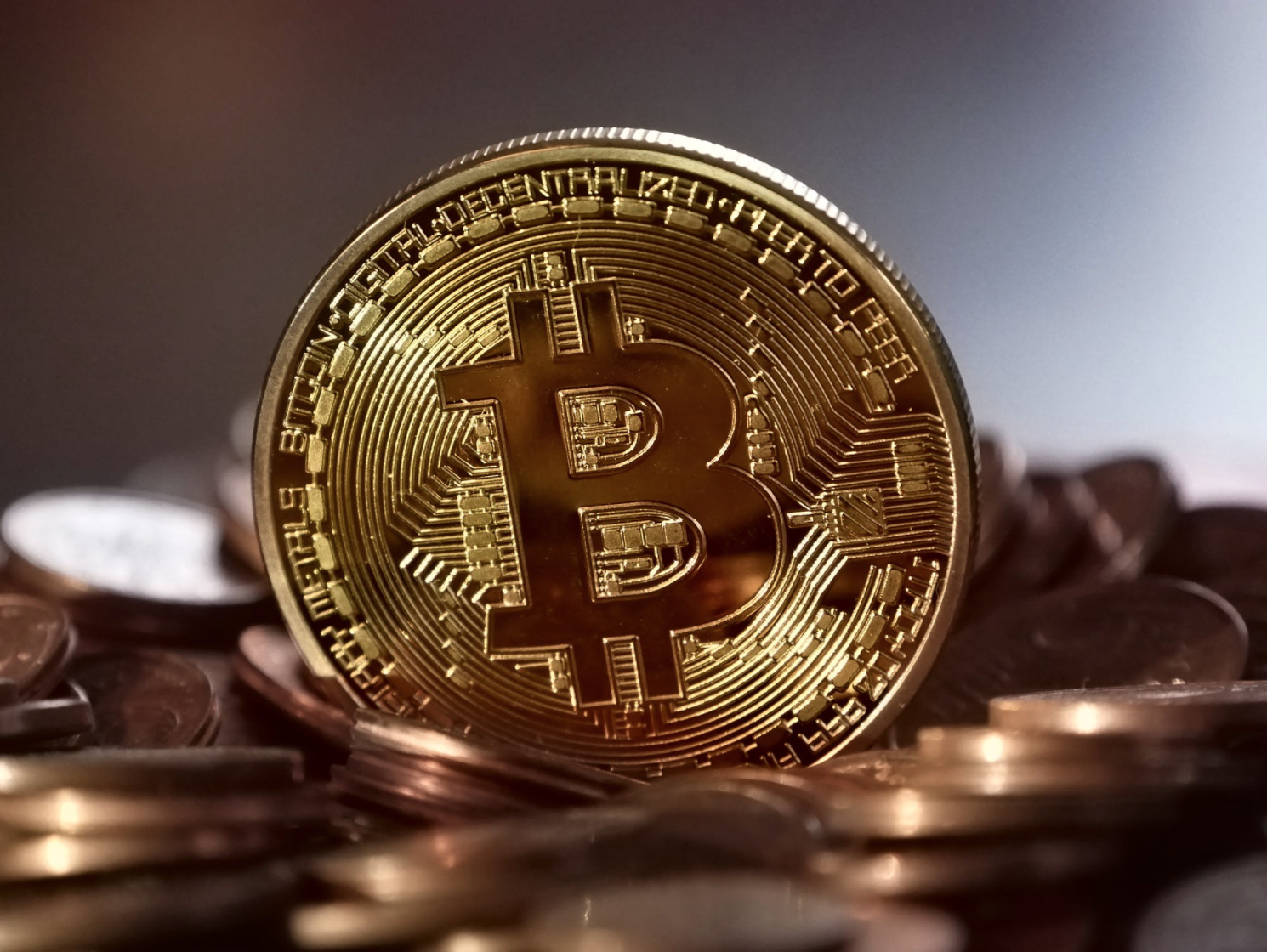 Bitcoin and Cryptocurrency as a store of value, should you invest?